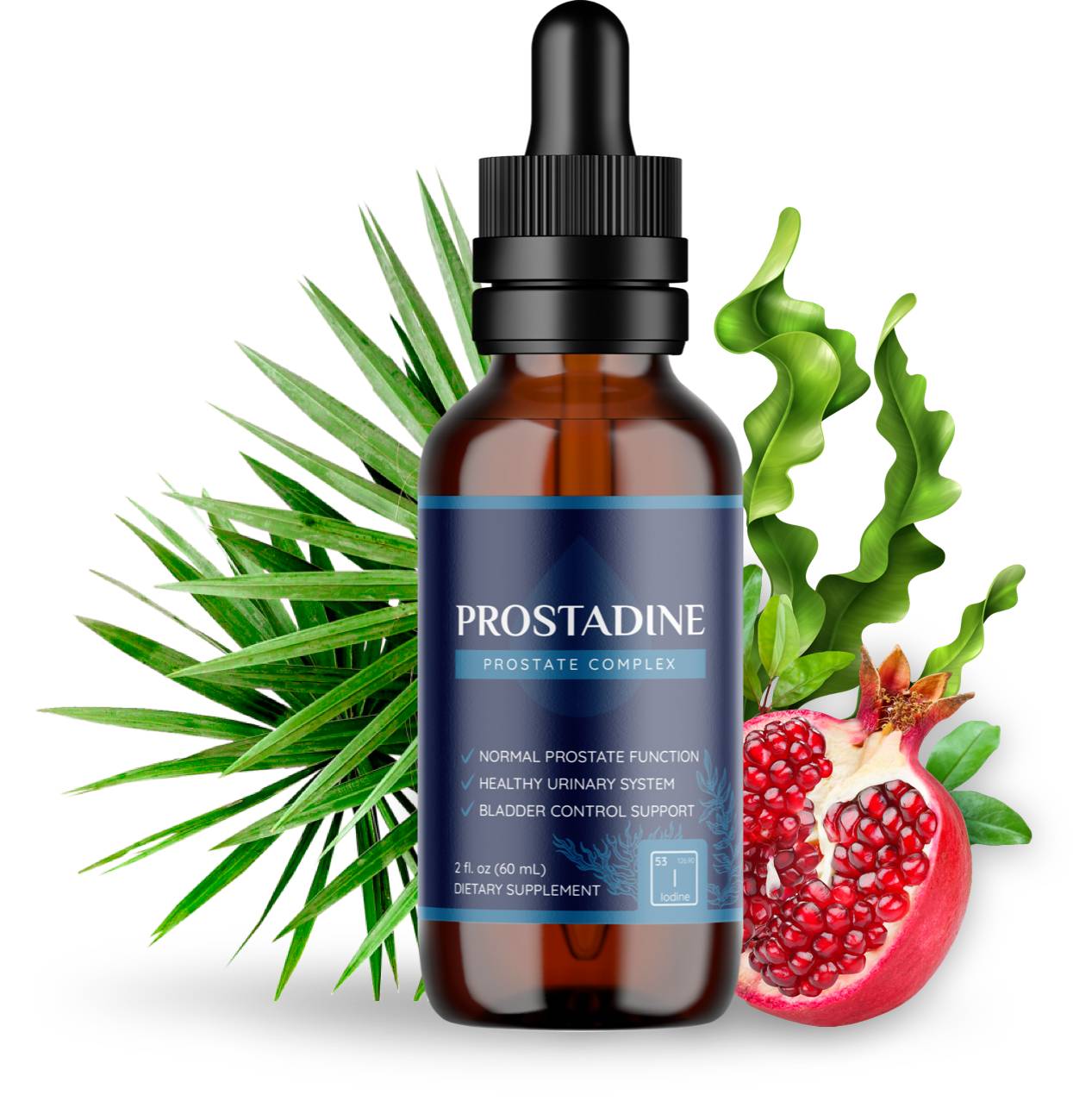 Prostadine support healthy prostate and urinary system